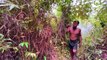 Five Stars Bushman Harvesting Honey Beehive in Jungle