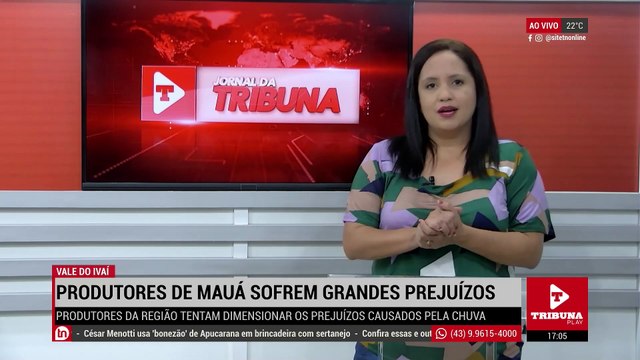 Produtores de Mauá da Serra esperam prejuízos dramáticos com granizo