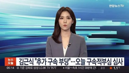 김근식 "추가 구속 부당"…오늘 구속적부심 심사