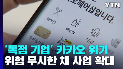'독점 기업' 카카오, 위험신호 무시하고 사업 확대만 / YTN