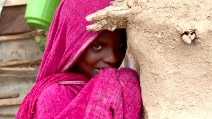 3 ملايين رأس من الماشية تضررت بسبب الجفاف في الصومال