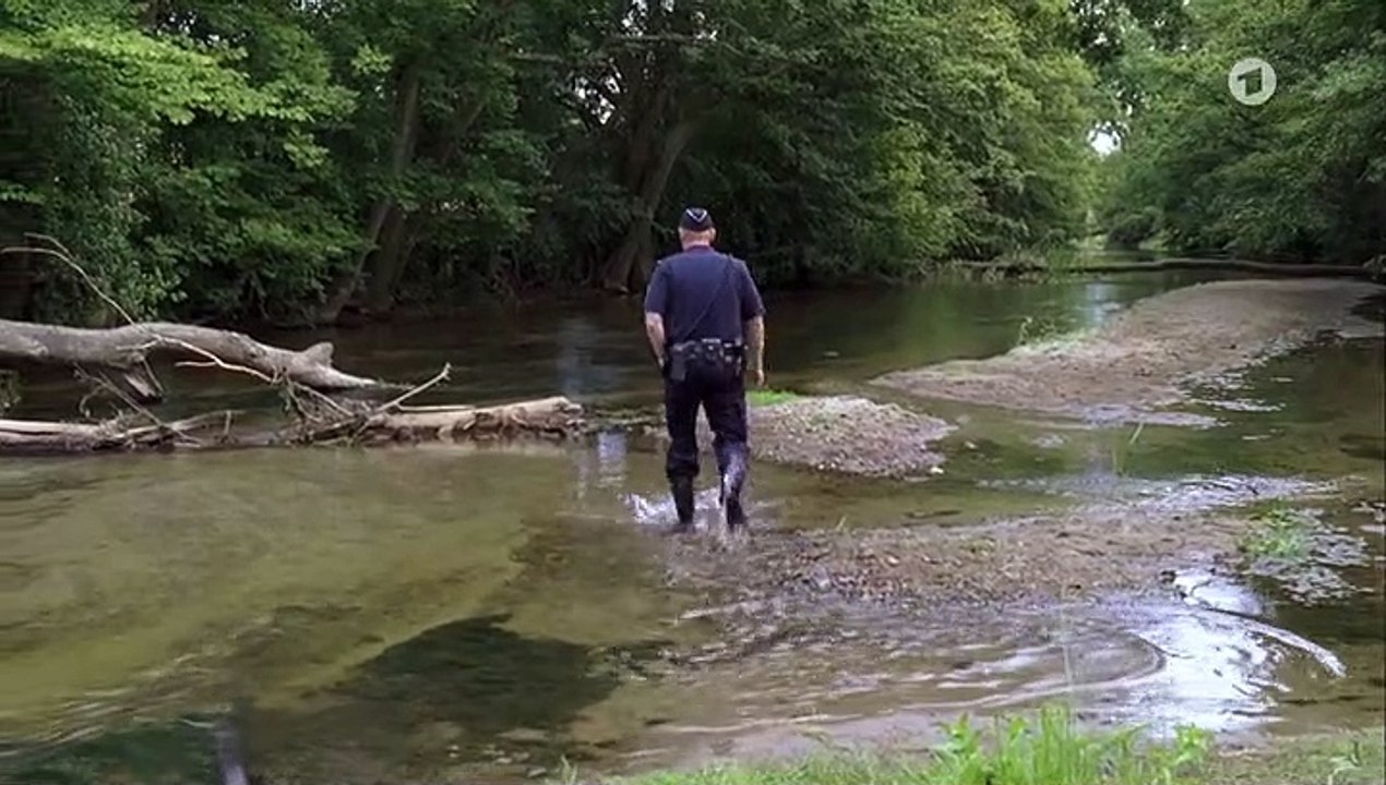 Mankells Wallander Staffel 1 Folge 6 - Part 02 HD Deutsch