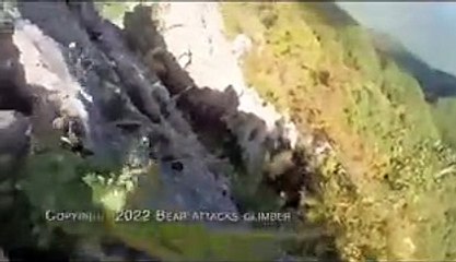 Japon dağcı kendisine saldıran ayıdan tekme tokat kurtuldu