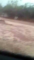 Fuerte lluvia deja familias damnificadas en el municipio cruceño de Lagunillas