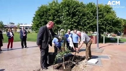 Littleton delegates donate five trees to Bega's Littleton Gardens