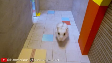 What If The Hamster Destroys Huggy Wuggy  Poppy Playtime Chapter 3