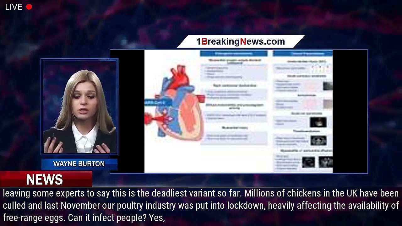Bird flu deaths soar to nearrecord high 47million have been culled
