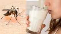 डेंगू में दूध पी सकते हैं या नहीं । डेंगू में दूध पीने के फायदे । Boldsky *Health
