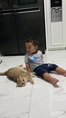 SANTAI BERSAMA KUCING