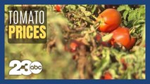 California water crisis impacts prices for tomatoes nationwide
