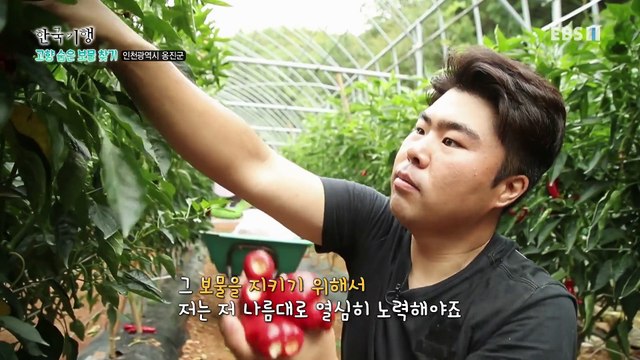 한국기행 - Korea travel_고향 숨은 보물찾기 2부- 함께 즐거운 바다_#002