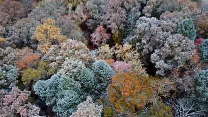 Autumn snow falls from the Upper Midwest to Appalachia