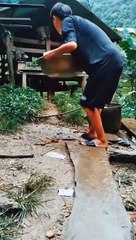 kumpulan video lucu im addicted to 2022!!! NGAKAK