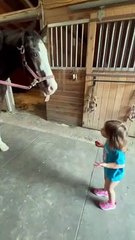 Horse Answers Kid's Candid Question