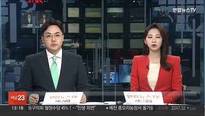 "다음달부터 일본 등 8개국 무비자 입국 재개"