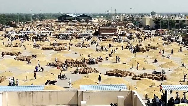 Video : प्लेटफार्म पर पड़े माल का नहीं हुआ लदान, किसान सडक़ों पर होते रहे परेशान