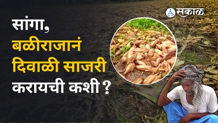 Heavy Rain News | अतिवृष्टीमुळे शेतकऱ्याचं किती नुकसान झालंय, ते पाहा... | Diwali 2022 | Sakal