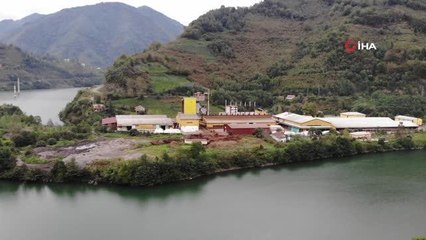 Artvin gündem haberi: Artvin'de etrafı sularla çevrili çay fabrikası ilgi çekiyor