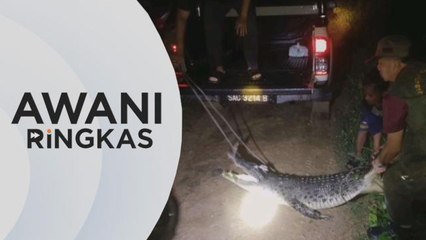 AWANI Ringkas: Buaya jantan ancam penduduk kampung ditembak