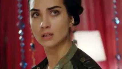 Amor de contrabando - Capitulo 12 Completo