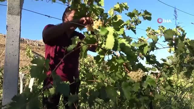 Elazığ kültür sanat haberleri | Elazığ orciği, Almanya, Hollanda ve Amerika'dan talep görüyor