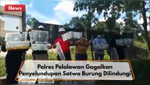 Polres Pelalawan Gagalkan Penyelundupan Satwa Burung Dilindungi Menuju Pulau Jawa