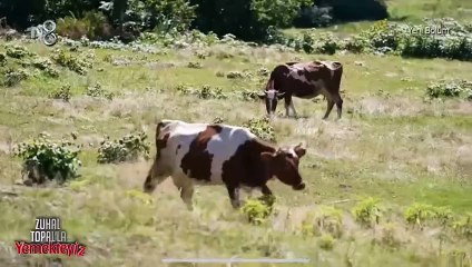 Zuhal Topal'ın kulak kanatan Trabzon şivesi sosyal medyada alay konusu oldu
