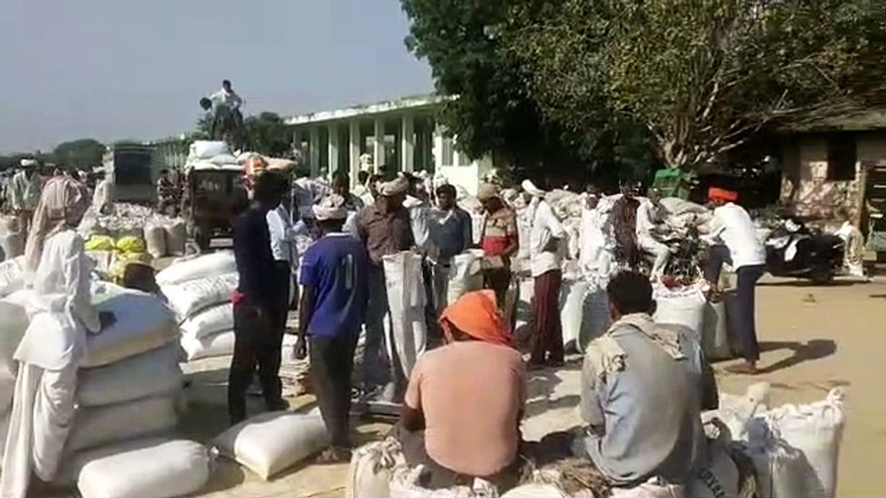 हिण्डौन की कृषि उपज मण्डी में इस बार आया इतना बम्पर बाजरा....देखें वीडियो...