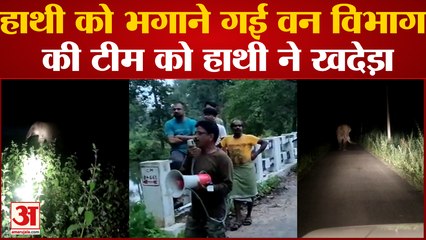 Chhattisgarh News : रिहायशी इलाके में पहुंचे हाथी, अलर्ट करने पहुंची वन विभाग की टीम को दौड़ाया