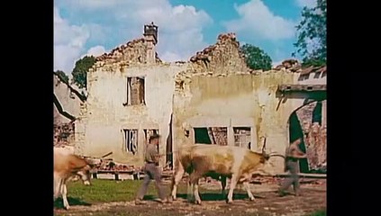 "Après la guerre, la France a faim" Un film de Thomas Marlier - Extrait