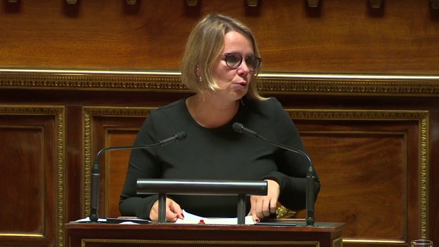 Cabinets de conseil :le Sénat temporise sur l’inclusion des collectivités locales