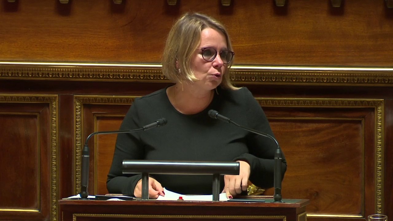 Cabinets de conseil :le Sénat temporise sur l’inclusion des collectivités locales