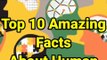 Human 10 Facts _ 10 Amazing facts _ 10 Interesting Facts _ #Shorts#Short #YoutubeShorts #Anandfacts-(480p)