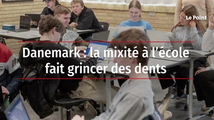 Danemark : la mixité à l’école fait grincer des dents
