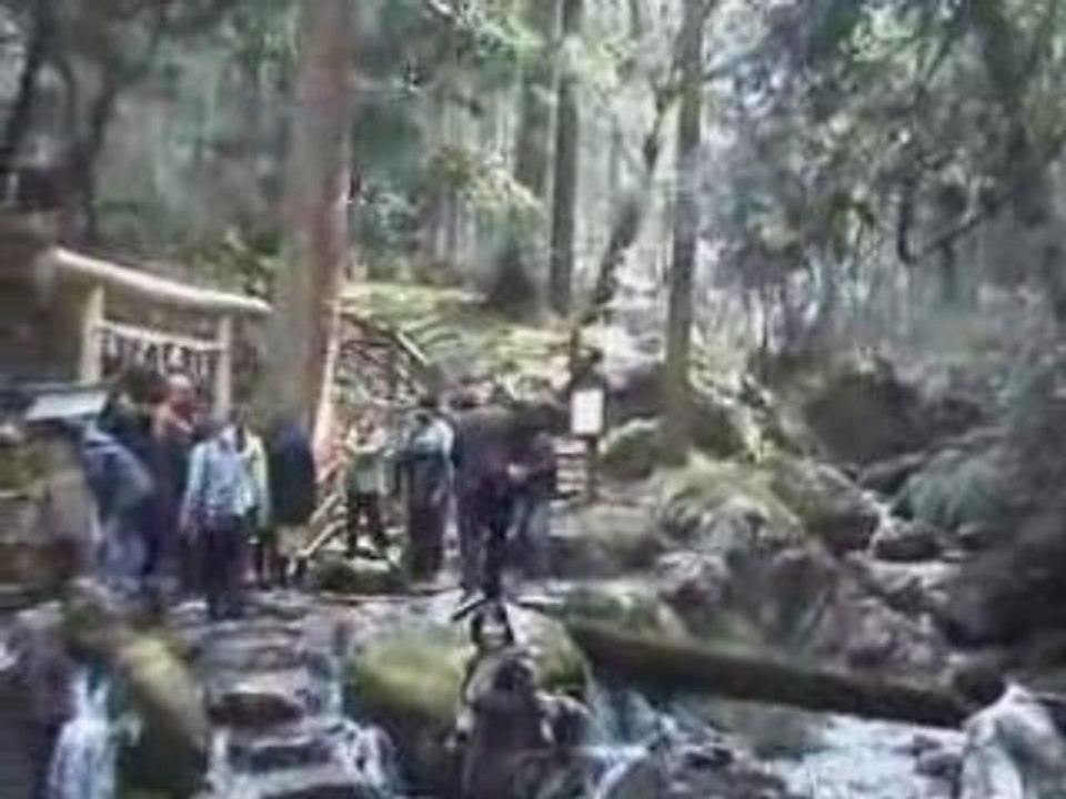 Wakasa Cascade