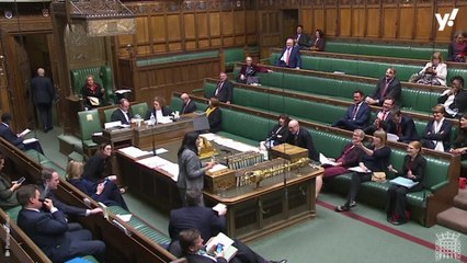 Suella Braverman blames ‘Guardian-reading, tofu-eating wokerati’ for protest disruption