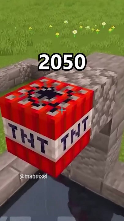 Minecraft NORMAL vs REALISTIC...