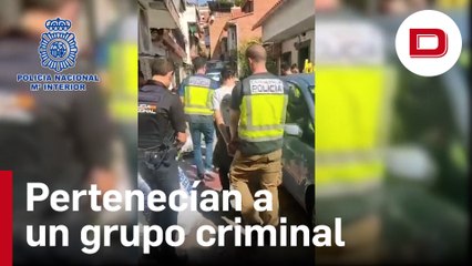 Desmantelan siete plantaciones de marihuana en Madrid