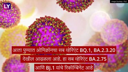 Omicron Subvariant BQ.1 चा भारतातील पहिला रूग्ण आढळला पुणे शहरात, चिंता वाढली