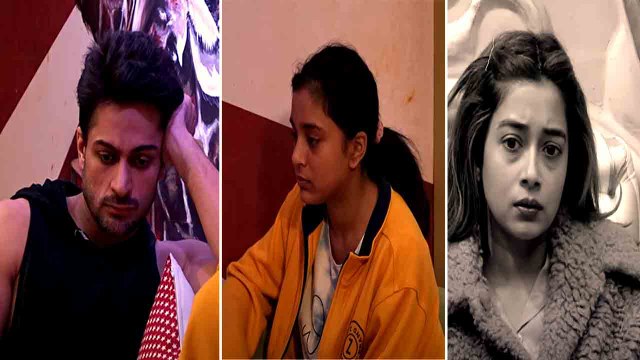 Bigg Boss 16: Sumbul बनी Shalin के game का हिस्सा, Shalin ने Tina पर लगाए सारे Blame! | FilmiBeat