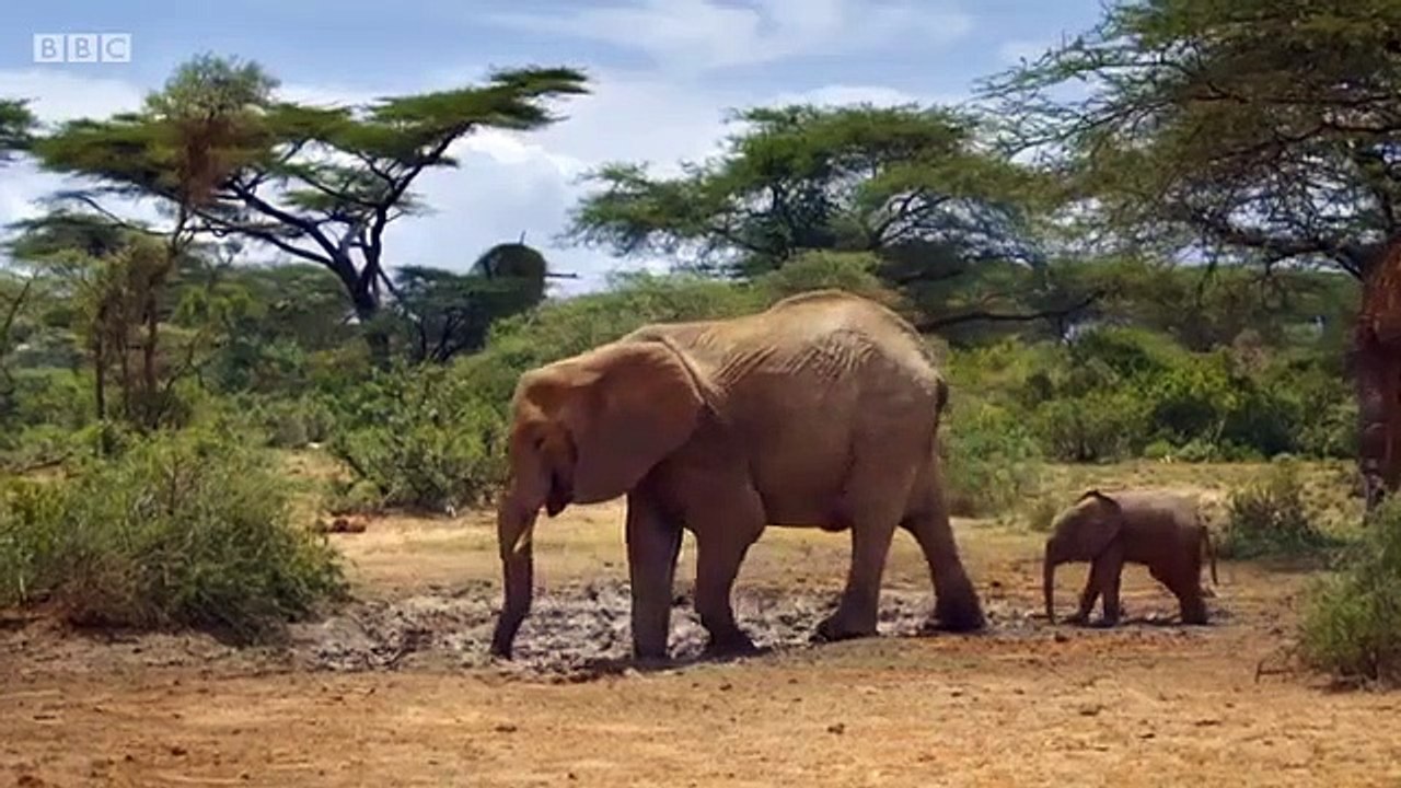 Earth from Space - Se1 - Ep01 - A New Perspective HD Watch HD Deutsch