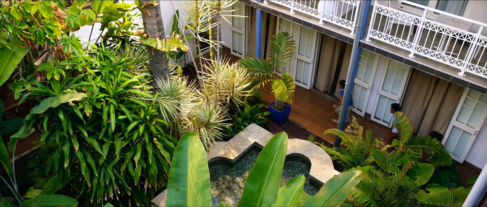 The Island Bird / Le Petit Piaf (2022)