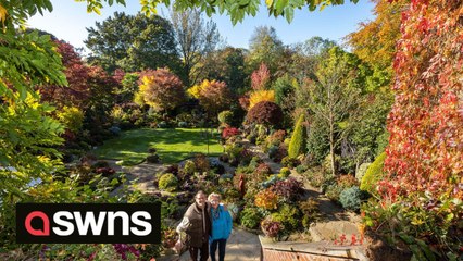 Stunning video shows wave of autumn colour spreading across one of Britain's most celebrated gardens