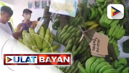 Iba't ibang klase ng saging, ibinida sa 36th Sagingan Festival sa Tubod, Lanao Del Norte