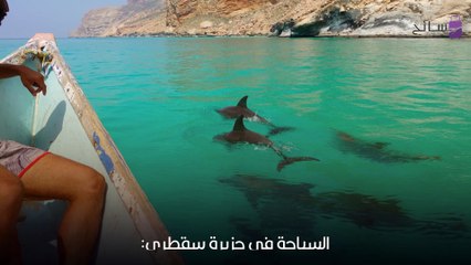 السياحة في جزيرة سقطرى