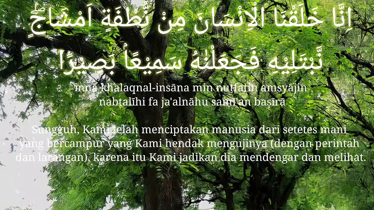 Hal'ata Assalam Official