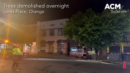 Lords Place trees demolished | October 19, 2022 | Central Western Daily