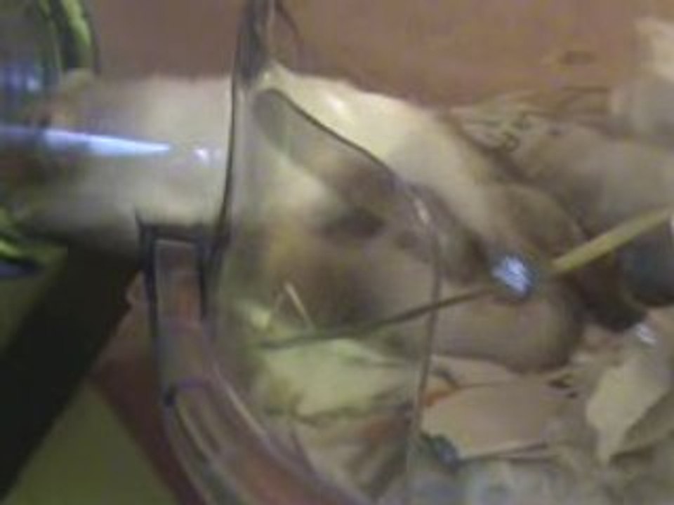 Bébés souris trop colant