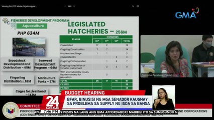 BFAR, binusisi ng mga Senador kaugnay sa problema sa supply ng isda sa bansa | 24 Oras
