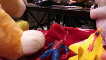 Vaccines cause Autism (2019)